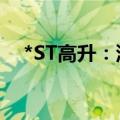 *ST高升：深交所终止公司股票上市交易