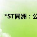 *ST同洲：公司未能与第一大股东取得联系