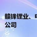 赣锋锂业、申万宏源等成立科技创新股权私募公司