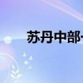 苏丹中部一村庄遭袭 至少100人死亡