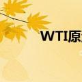 WTI原油期货日内涨幅达1.00%