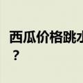 西瓜价格跳水！低至几毛钱一斤，还得继续跌？