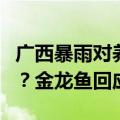 广西暴雨对养鸡场和粮油相关项目是否有影响？金龙鱼回应