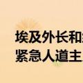 埃及外长和约旦外交大臣通话 讨论筹备加沙紧急人道主义会议