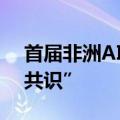 首届非洲AI技术发展高级论坛通过“拉巴特共识”