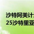 沙特阿美计划将增发股票的价格定在每股27.25沙特里亚尔