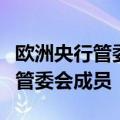 欧洲央行管委霍尔茨曼：我是唯一反对降息的管委会成员