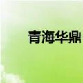 青海华鼎：收到行政监管措施决定书