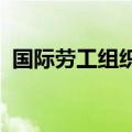 国际劳工组织：加沙地带失业率高达79.1%