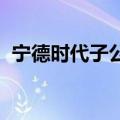 宁德时代子公司全资入股隆基绿能旗下公司