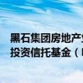 黑石集团房地产业务联席主管：无计划改变回购黑石房地产投资信托基金（BREIT）计划