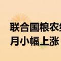 联合国粮农组织：全球食品价格指数连续3个月小幅上涨