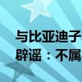 与比亚迪子公司达成储能供货协议 ？特斯拉辟谣：不属实