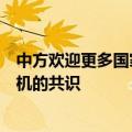 中方欢迎更多国家支持并加入中国、巴西关于解决乌克兰危机的共识