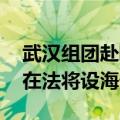 武汉组团赴欧洲招商：驻德经贸合作处挂牌 在法将设海外仓