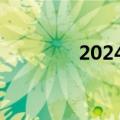 2024端午档新片票房破2亿