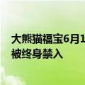 大熊猫福宝6月12日将与公众见面：主播多次违规直播福宝被终身禁入