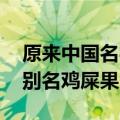 原来中国名字最难听的水果在广东：番石榴 别名鸡屎果