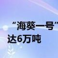 “海葵一号”即将完成海上安装：最大储油量达6万吨