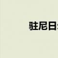 驻尼日尔美军基地举行撤离仪式