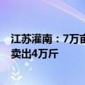 江苏灌南：7万亩错峰养殖小龙虾上市供不应求 小龙虾一天卖出4万斤