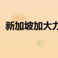 新加坡加大力度整顿家族理财室、避险基金