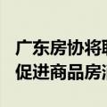 广东房协将联动全产业推出四大举措N项配套促进商品房消费