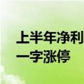 上半年净利同比预增536%-634% 齐翔腾达一字涨停