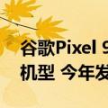 谷歌Pixel 9系列手机保护套亮相：推出三种机型 今年发布