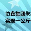 协鑫集团朱共山：预计到2026年绿氢成本可实现一公斤十块钱