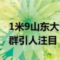 1米9山东大爷持2米艾蒿挤地铁：身高鹤立鸡群引人注目