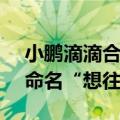 小鹏滴滴合作车型将于2025年上半年发布，命名“想往”