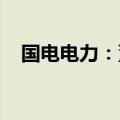 国电电力：董事长刘国跃因工作原因辞职