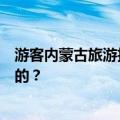 游客内蒙古旅游抽奖抽到一匹马，网友：活的蒙古马，玩真的？