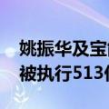 姚振华及宝能等被执行24.9亿 宝能集团累计被执行513亿