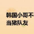 韩国小哥不信中国拿西瓜喂猪 网友：小哥想当猪队友