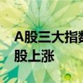 A股三大指数盘中全数翻红 两市超4000家个股上涨