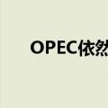 OPEC依然预计下半年石油需求将增加