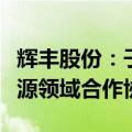 辉丰股份：子公司与宝武清洁能源签订氨氢能源领域合作协议