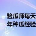 验瓜师每天拍上万个西瓜收入千元：有近30年种瓜经验