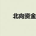 北向资金今日大幅净卖出63.06亿元