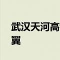 武汉天河高铁站亮相：犹如一只凤凰 六片羽翼