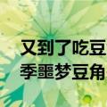 又到了吃豆角的季节 网友调侃：北方人的夏季噩梦豆角来了