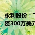 永利股份：下属全资子公司向墨西哥子公司增资300万美元