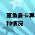 草鱼身卡异物疑似金镯 渔民：第一次见到这种情况