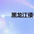 黑龙江倭肯河发生2024年第2号洪水