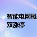 智能电网概念异动拉升 中辰股份、英可瑞双双涨停