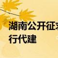 湖南公开征求意见 鼓励3000万元以下项目实行代建