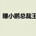 曝小鹏总裁王凤英离职 本人朋友圈亲自辟谣