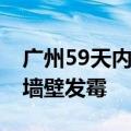 广州59天内仅7天无雨，市民：鲜切花长毛，墙壁发霉